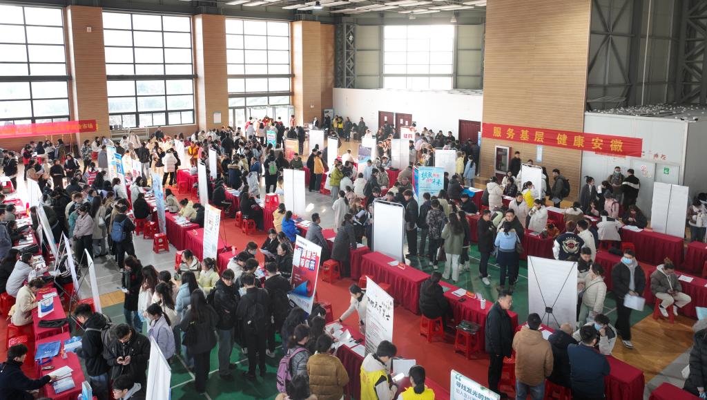 44D02DCCB23E9C158F410DDA686_929D2B9D_1EFCD