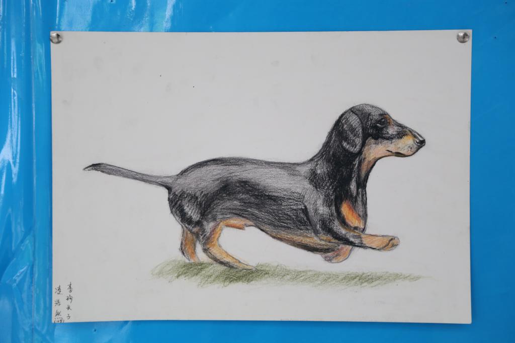 81D43956186EB929B1E9BF724CE_7911E4F3_D54B