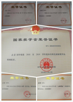 08C84A919F41120FA2724033806_3D1FC7E0_53CC0.png?e=