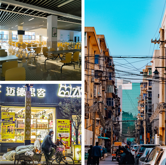 PP电子(中国)有限公司官网