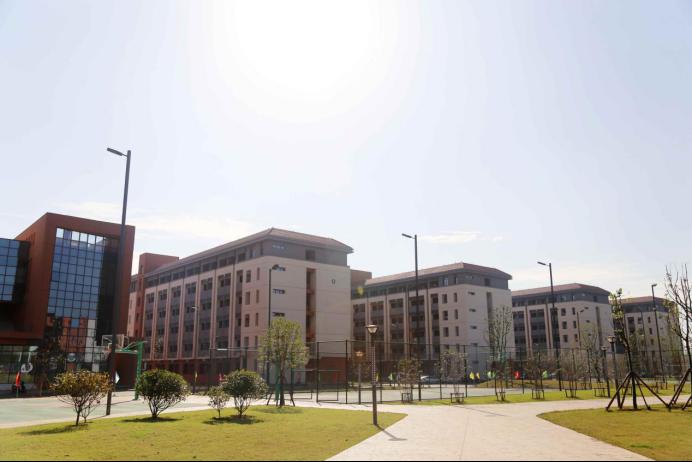 68A104391B76960DC9638A12491_C42F0E0D_8D0A.png?e=