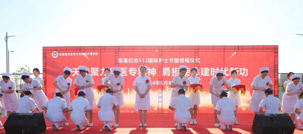 8084B37B1F4913DA527AE4E51CF_A387B76B_E9EC