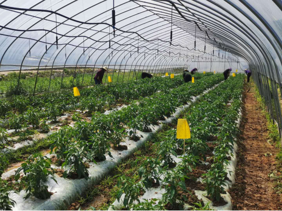 3BF22B09F177BD492AAE5386CF5_64C3C192_E18D0.png?e=