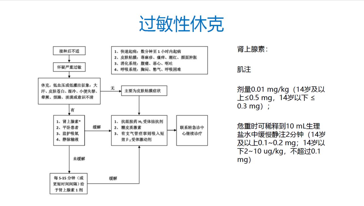 6CAA56B3CA2068DF9E9B5819FA4_9916E0EB_FF83