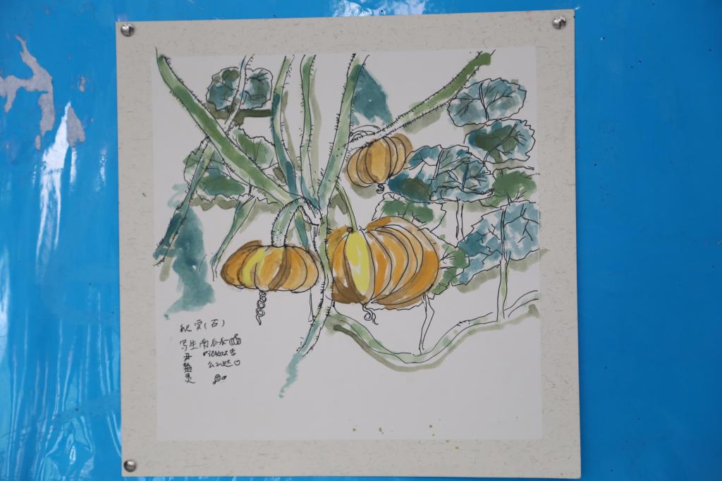 22632ED99BA30575B802FE40750_C889AA3D_1272F