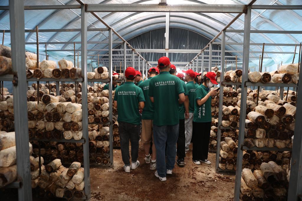 DAA2A9D3B05DF41A75F42F1C5A8_3B2ADDFF_22727