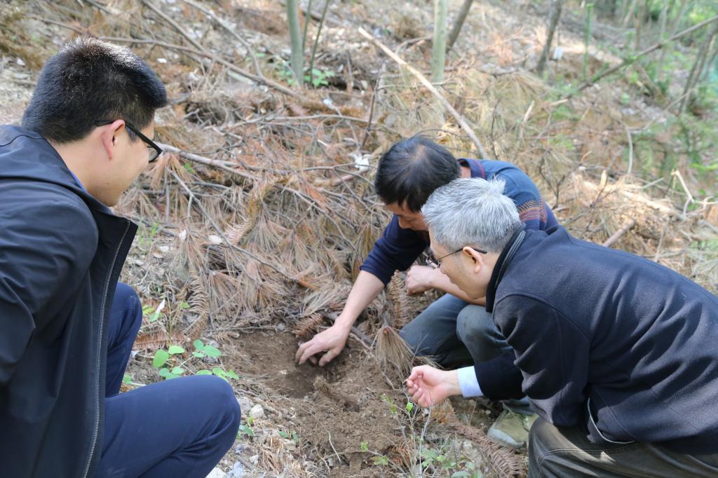 PP电子(中国)有限公司官网