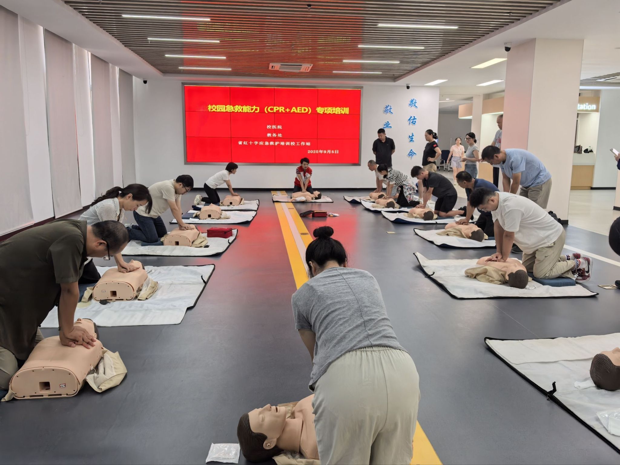 D6332E75D32085FF8245D4096AB_50E3F3C8_535E2