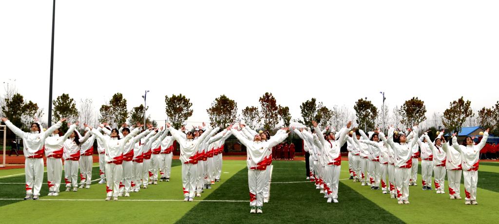 DF40DDF84C8D5E2D6AF3ED2F513_30D3B707_13DCA