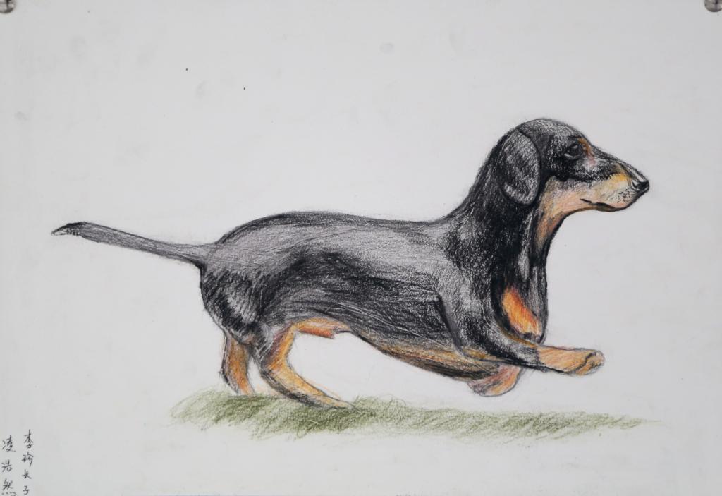 7E2E9B2E5B43013BC12FD76BB35_03AEA658_E51E