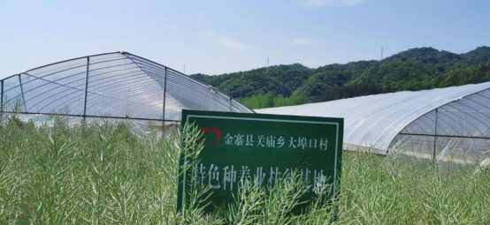 60603FD83615AE82B99A65F99C5_AAABE741_8A451.png?e=