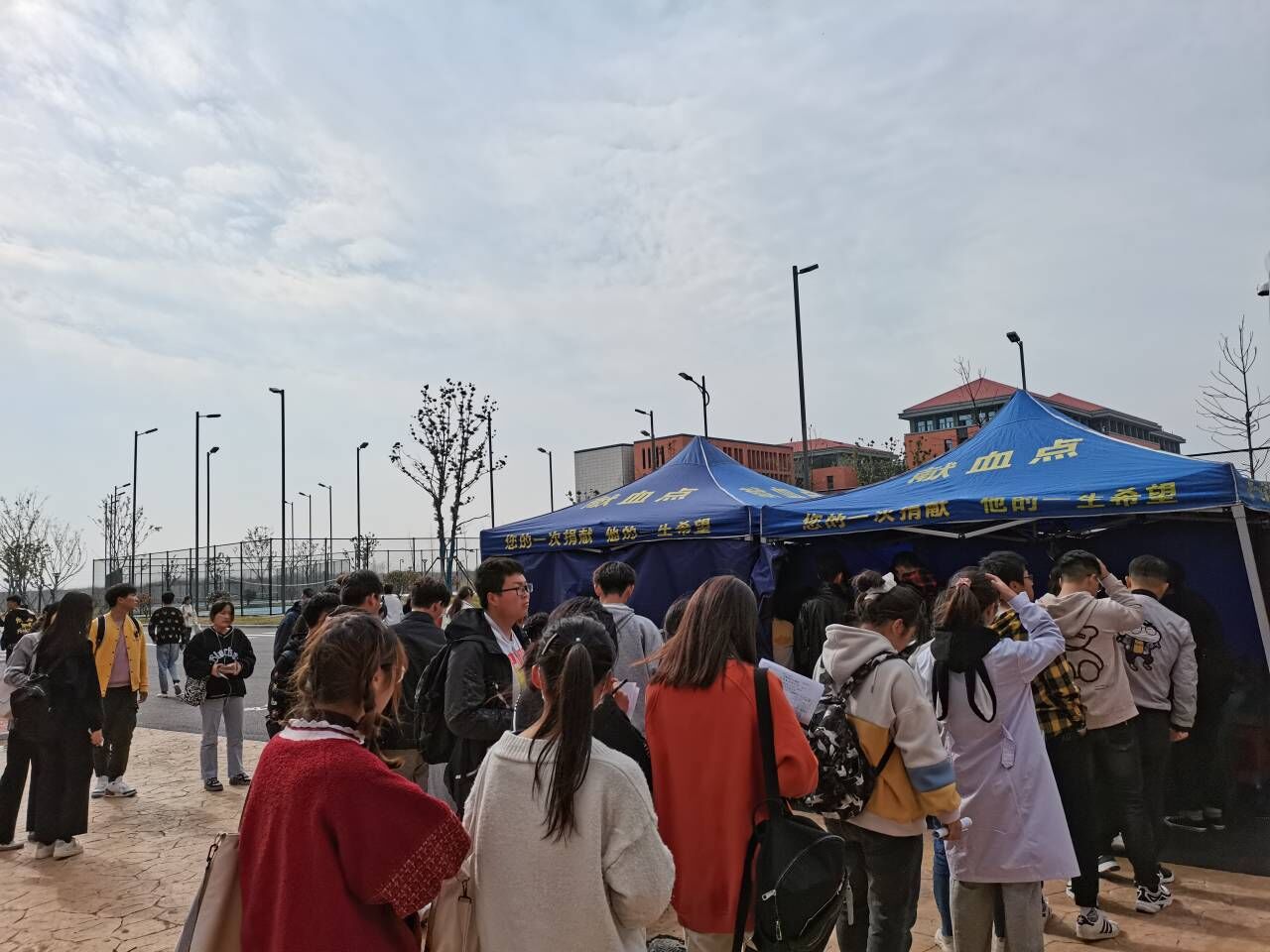 CCAFB7895153740C3235B5FE124_34D9040F_24F46.jpg?e=