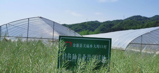 PP电子(中国)有限公司官网